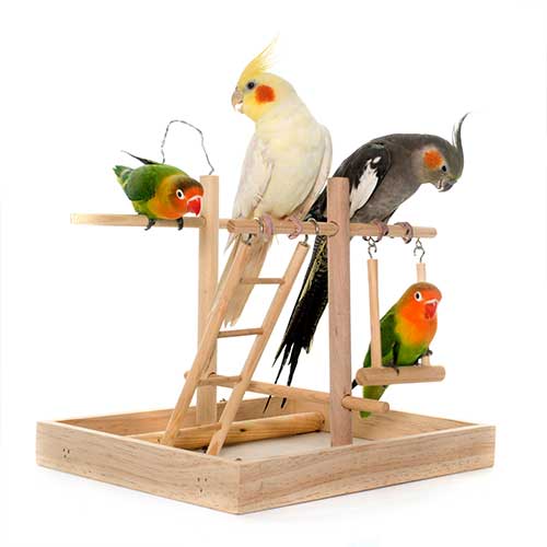 Bird Products