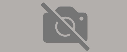 Pups & Paws Training