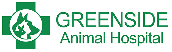 Greenside Animal Hospital